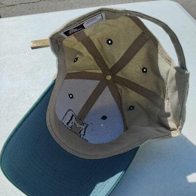 Masonomics hat