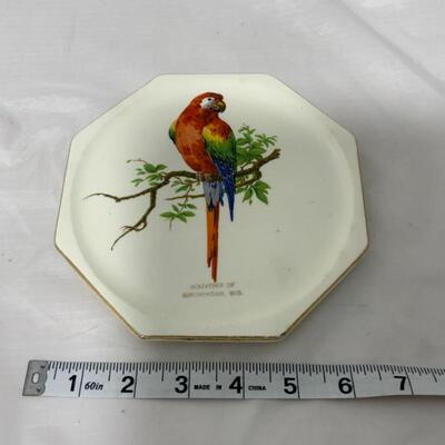.270. VINTAGE | Parrot | Sheboygan Wisconsin Souvenir | Tea Trivet