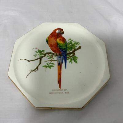 .270. VINTAGE | Parrot | Sheboygan Wisconsin Souvenir | Tea Trivet