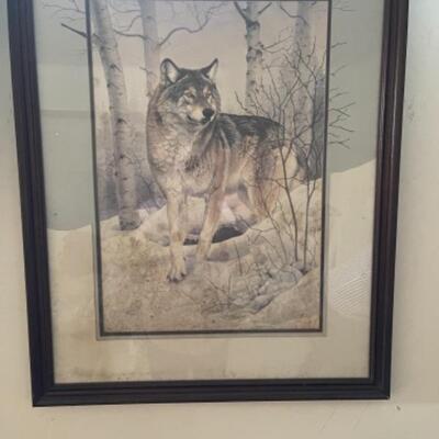 B552 Grey Wolf Signed and Numbered Print by Carl Brenders 