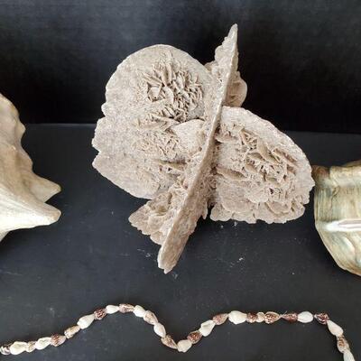 Seashell Decor Lot