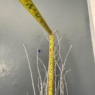 45: Wall Mirror and Birch Branches
