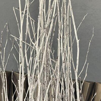 45: Wall Mirror and Birch Branches
