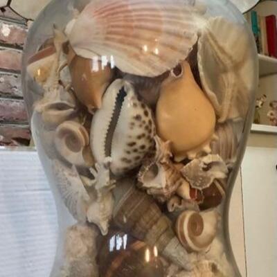 2040 Clear Glass Lamp Filled With Seashells and Capize Lampshade