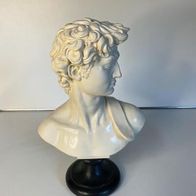 Michelangelo David Bust