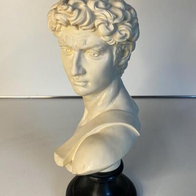 Michelangelo David Bust