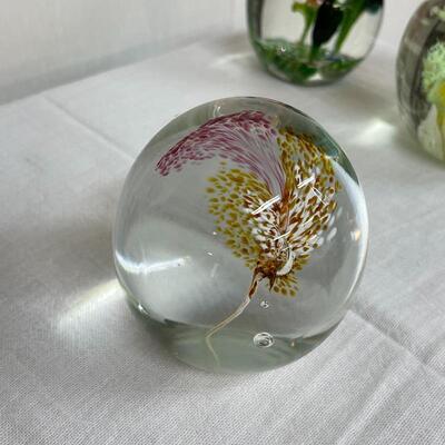 3 Round Glass Floral Paperweights