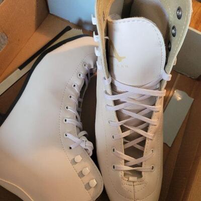 Professional ice scates