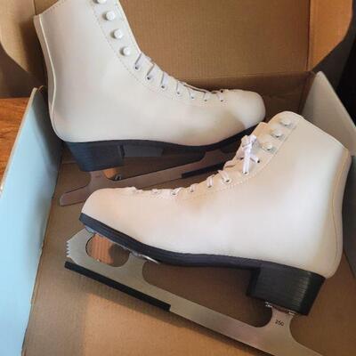 Professional ice scates