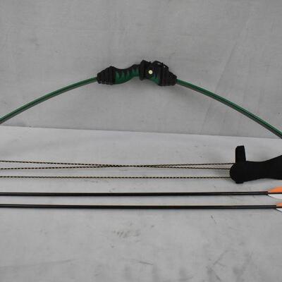 Bear Scout Bow and 2 blunt tip arrows 