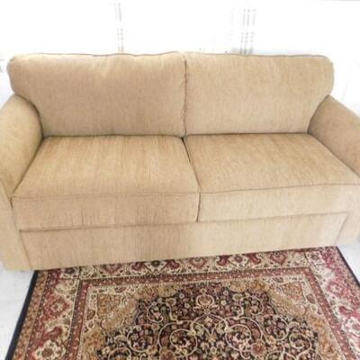 Two Cushion Sofa Bed 71