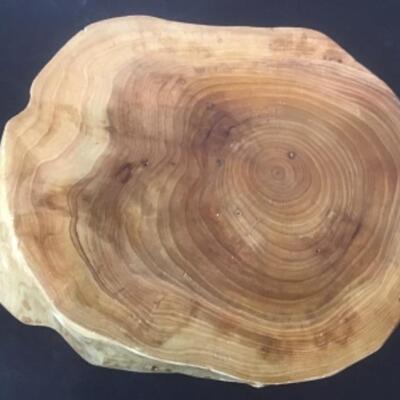 K - 1340. Burl Wood Bowl Hand Turned Tree Trunk 