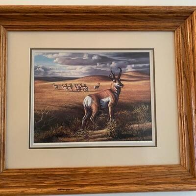 Antelope Sign Print