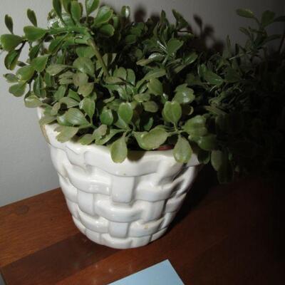 Greenery Plant with Planter Pot - Item # 18