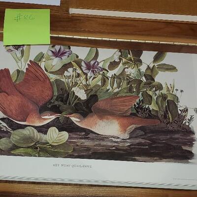 Vintage John James Audubon Printed Water Colors Wood Case & Book 1966 (item #86)