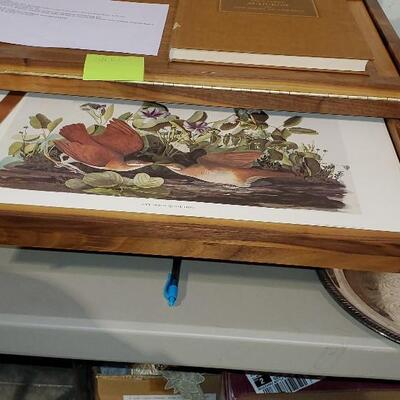 Vintage John James Audubon Printed Water Colors Wood Case & Book 1966 (item #86)