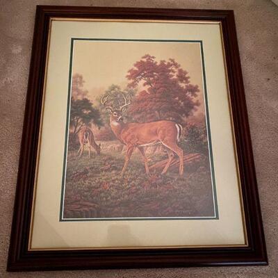 Home Interiors Framed Deer Print