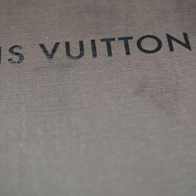 Lot 111 Louie Vuitton luxury bags and Boxes EMPTY