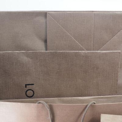 Lot 111 Louie Vuitton luxury bags and Boxes EMPTY