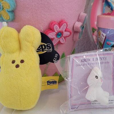 Lot 33: Felt Easter Basket, Disney Princess Card Games & Stamper Fun, Peep Bubbles, Grow a Bunny, Wind up Chick