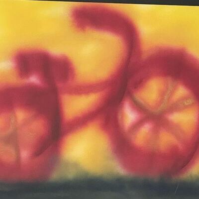 Original Brent Litsey Bicycle Graffiti Style Painting