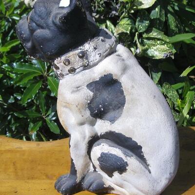 Lot 30  Vintage Chalkware Dog Life Size French Bulldog