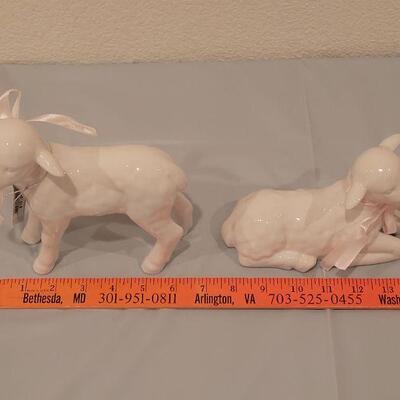Lot 117: (2) New Lambs