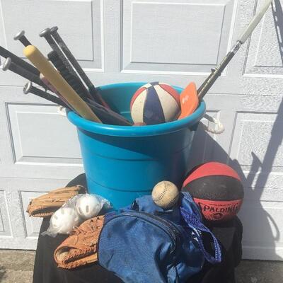 Mixed sports equipment lot with bats, balls and gloves