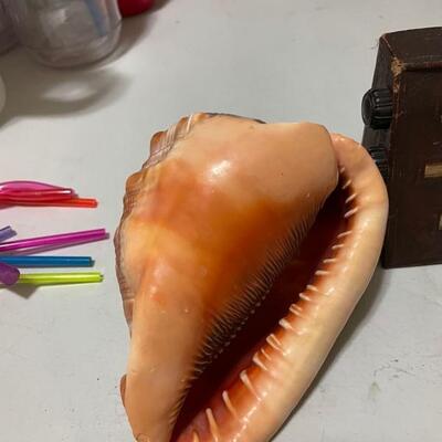 Cameo Carved Conch Shell