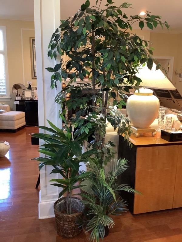 N1570 Lot of 3 Faux House Plants Ficus, Palm