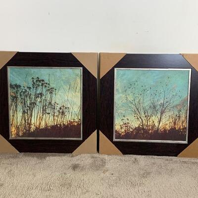 Pair of Framed Nature Prints - Brand New