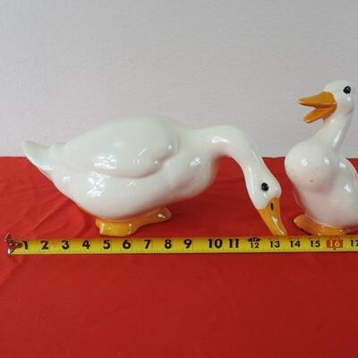 Ducks
