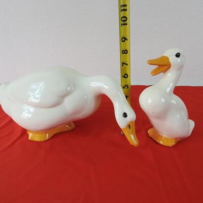 Ducks