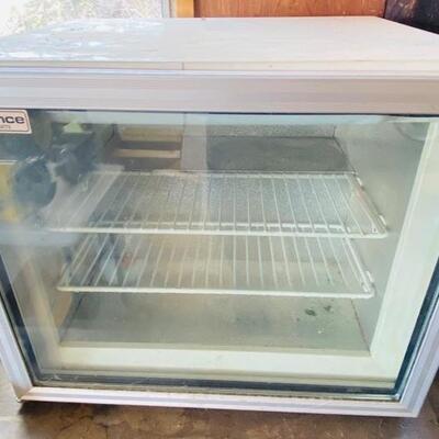 Mini Commercial 1.6 cu. ft. Ice Cream Freezer
