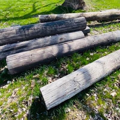 Lot of Treated Wood Pilings