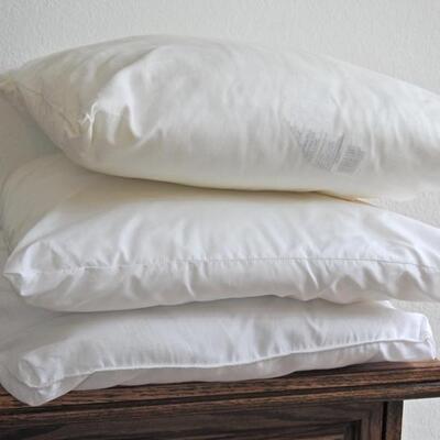 Misc bedding
