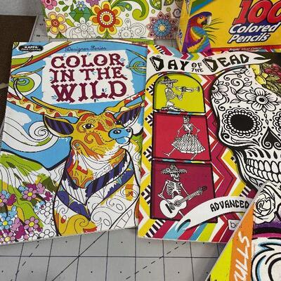 #16 Adult Coloring Books and Pencils 
