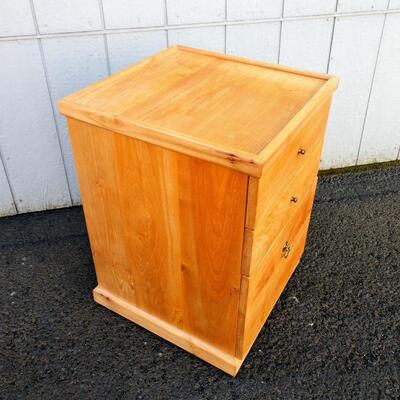 Lot #15 Solid Wood Office Cabinet w/ File Drawer