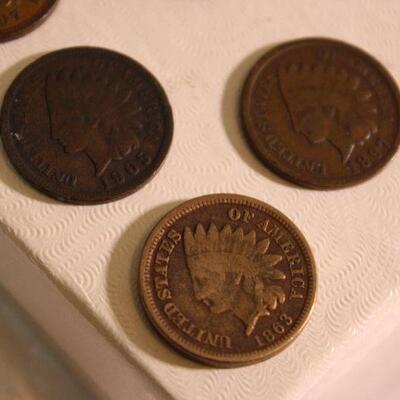 5 Indian Head pennies 