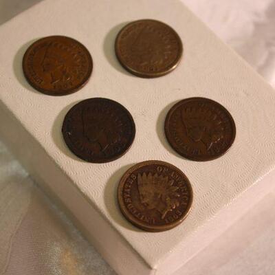 5 Indian Head pennies 
