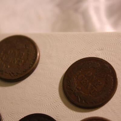 5 Indian Head pennies 