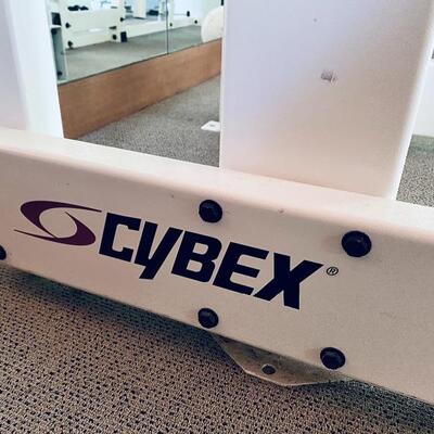 Cybex Galileo Assisted Chin Up/Dip Machine 