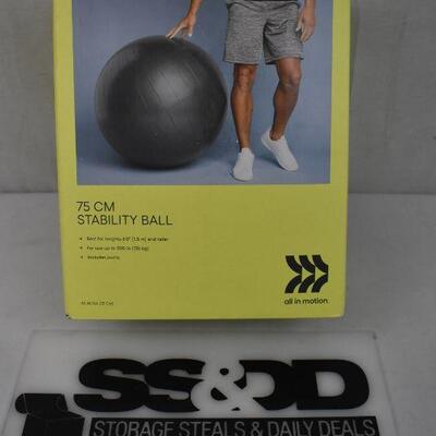 Stability Ball 75cm Blue by All in Motion. No holes. Slightly Dirty