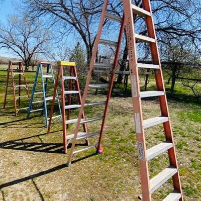 Lot of Werner, Louisville Ladders, & Others