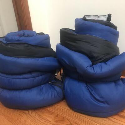 Lot 21 L:   Coleman Sleeping Bags