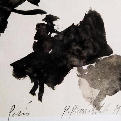 Picasso â€˜347 series'