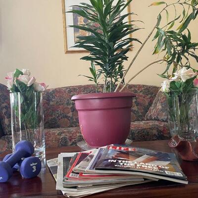 Lot 46 - Sherril furniture couch,(2) floral vases, collection of magazines, (2) weights, bowl, live plant, picture
