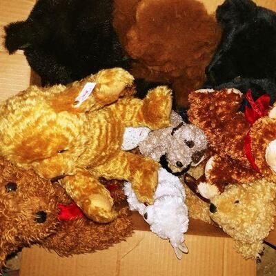 Adult displayed Teddy Bears with Steiff & Ty