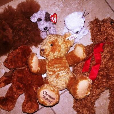 Adult displayed Teddy Bears with Steiff & Ty