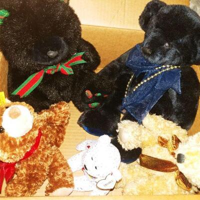 Adult displayed Teddy Bears with Steiff & Ty